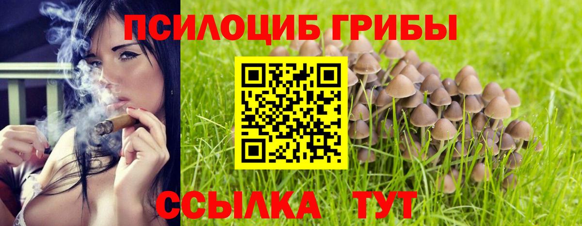Псилоцибиновые грибы MAGIC MUSHROOMS Артём