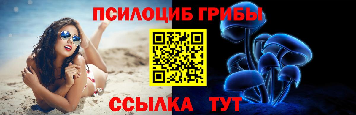 Артём  Галлюциногенные грибы мицелий  Вход с VPN 